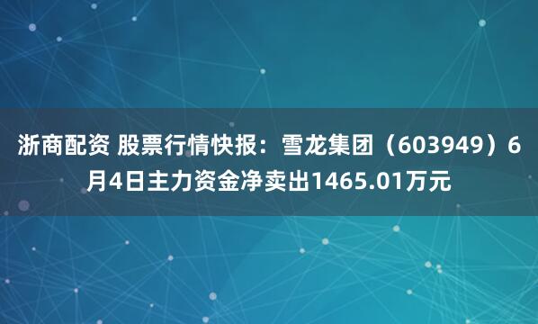 浙商配资 股票行情快报：雪龙集团（603949）6月4日主力资金净卖出1465.01万元