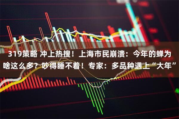 319策略 冲上热搜！上海市民崩溃：今年的蝉为啥这么多？吵得睡不着！专家：多品种遇上“大年”
