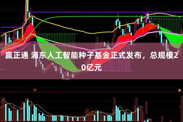 赢正通 浦东人工智能种子基金正式发布，总规模20亿元