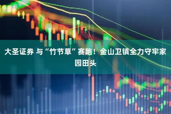 大圣证券 与“竹节草”赛跑！金山卫镇全力守牢家园田头