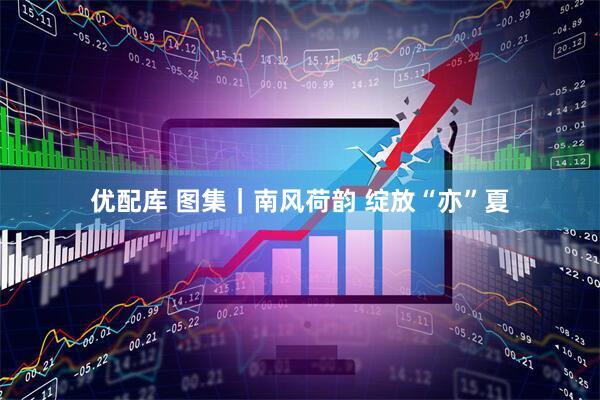 优配库 图集｜南风荷韵 绽放“亦”夏