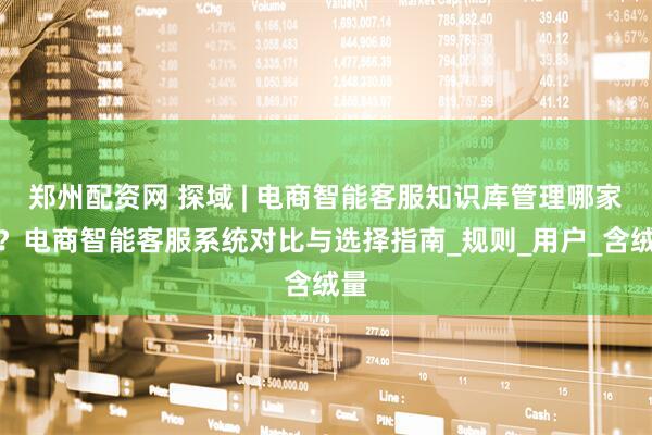 郑州配资网 探域 | 电商智能客服知识库管理哪家强？电商智能客服系统对比与选择指南_规则_用户_含绒量