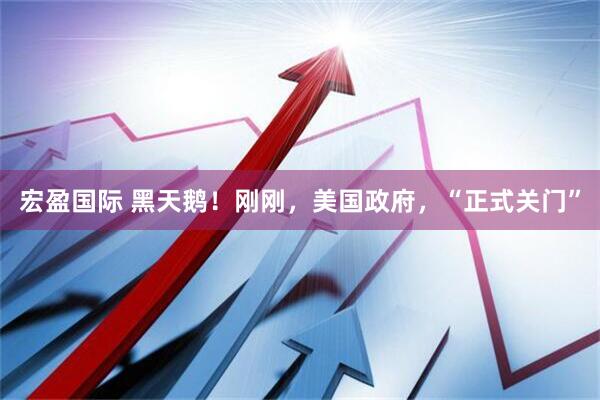 宏盈国际 黑天鹅！刚刚，美国政府，“正式关门”