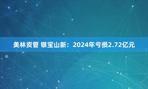 美林资管 银宝山新：2024年亏损2.72亿元